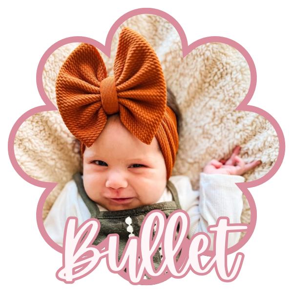 Bullet